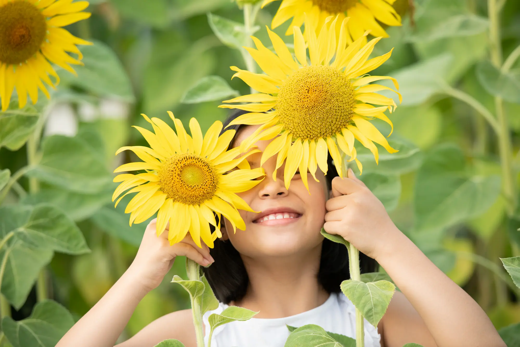 Enfant souriant caché derrière des tournesols, symbole de calme et de joie en sophrologie.